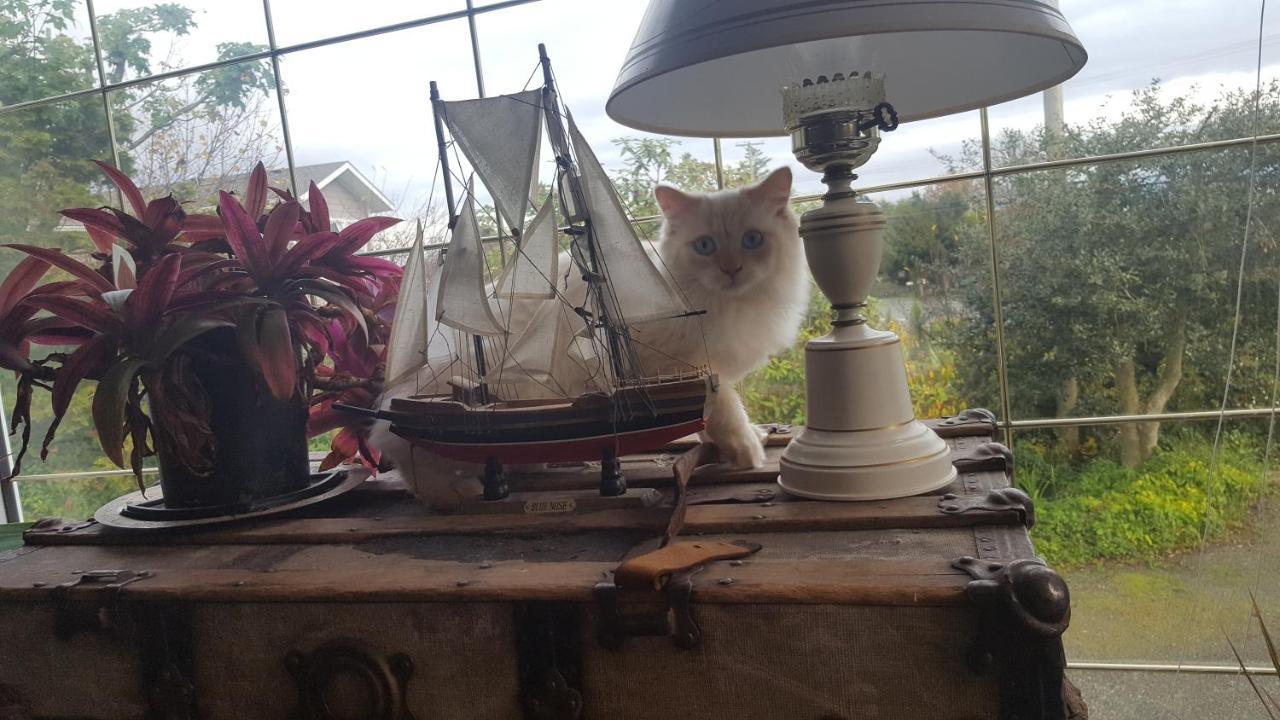 By The Sea Bnb, Sidney Victoria Bc מראה חיצוני תמונה