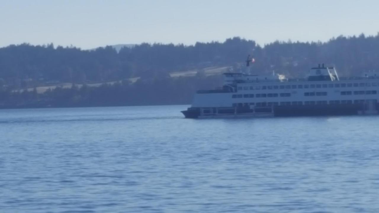 By The Sea Bnb, Sidney Victoria Bc מראה חיצוני תמונה