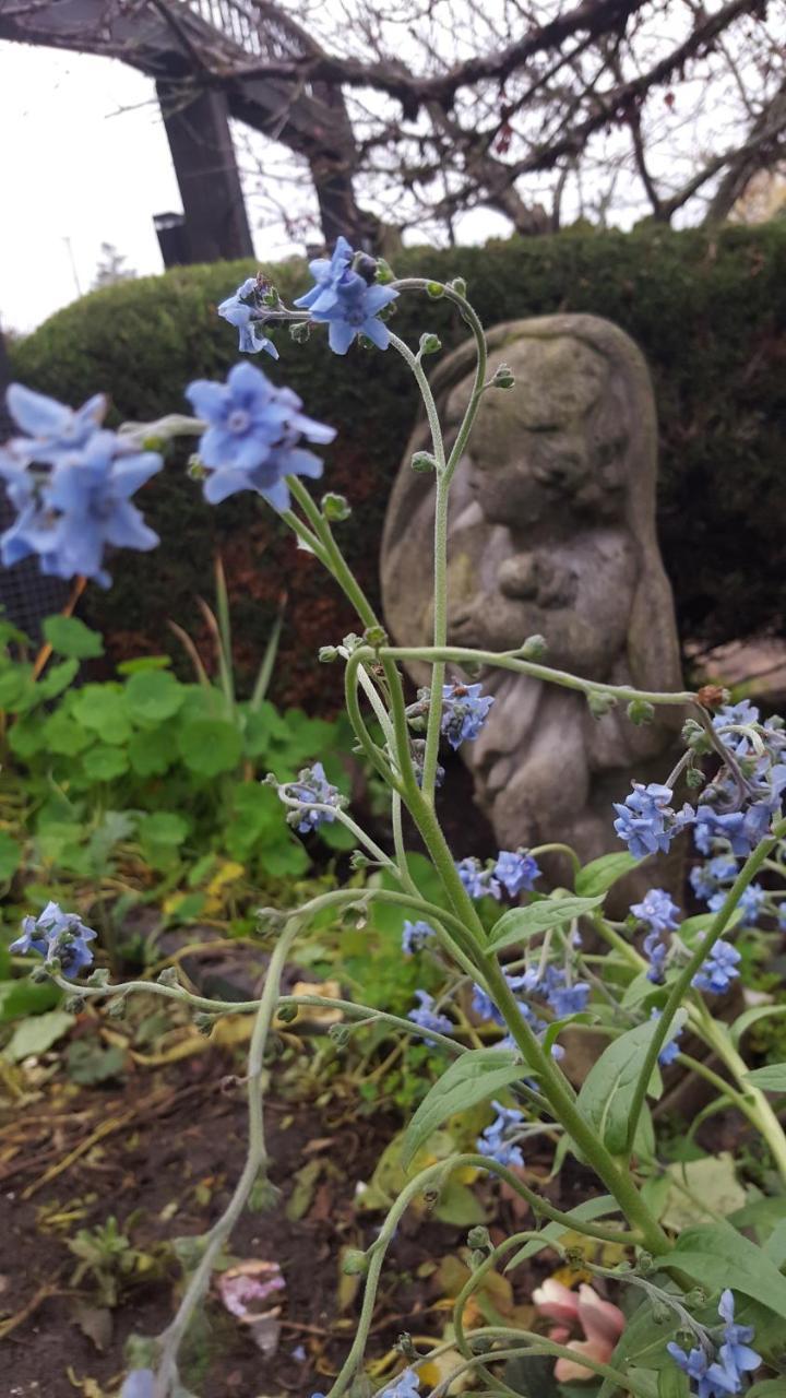 By The Sea Bnb, Sidney Victoria Bc מראה חיצוני תמונה